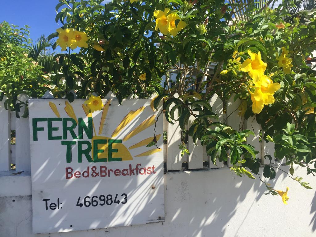Frigate Bay Fern Tree Bed And Breakfast מראה חיצוני תמונה