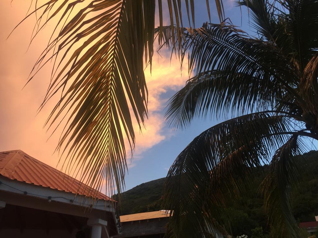 Frigate Bay Fern Tree Bed And Breakfast מראה חיצוני תמונה