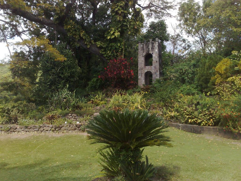 Frigate Bay Fern Tree Bed And Breakfast מראה חיצוני תמונה